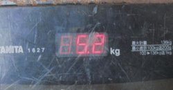 重量５，２ｋｇ