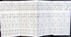 画像8: 箱根登山鉄道　列車運行図表　2012年3月19日改正　