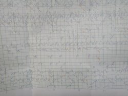 画像6: ＪＲ九州・列車運行図　　「Ｎｏ２　九州新幹線・山陽・鹿児島本線」　平成１６年３月１３日改正