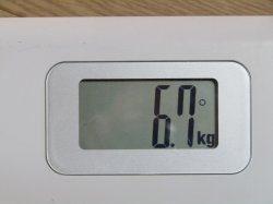 画像14: JR西　１１５系電車　客室荷物棚