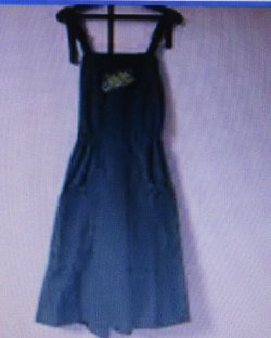 画像3: JR九州　「ゆふいんの森」客室乗務員エプロン　未開封品