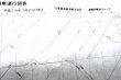画像3: JR貨物・貨物列車運行図表「日本海縦貫・高崎・上越・中央・関西線」　 平成２８年３月２６日改正