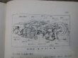 画像11: 古書　「改訂　新・図説ディーゼル動車」鉄道科学社出版　昭和41年1月第4版