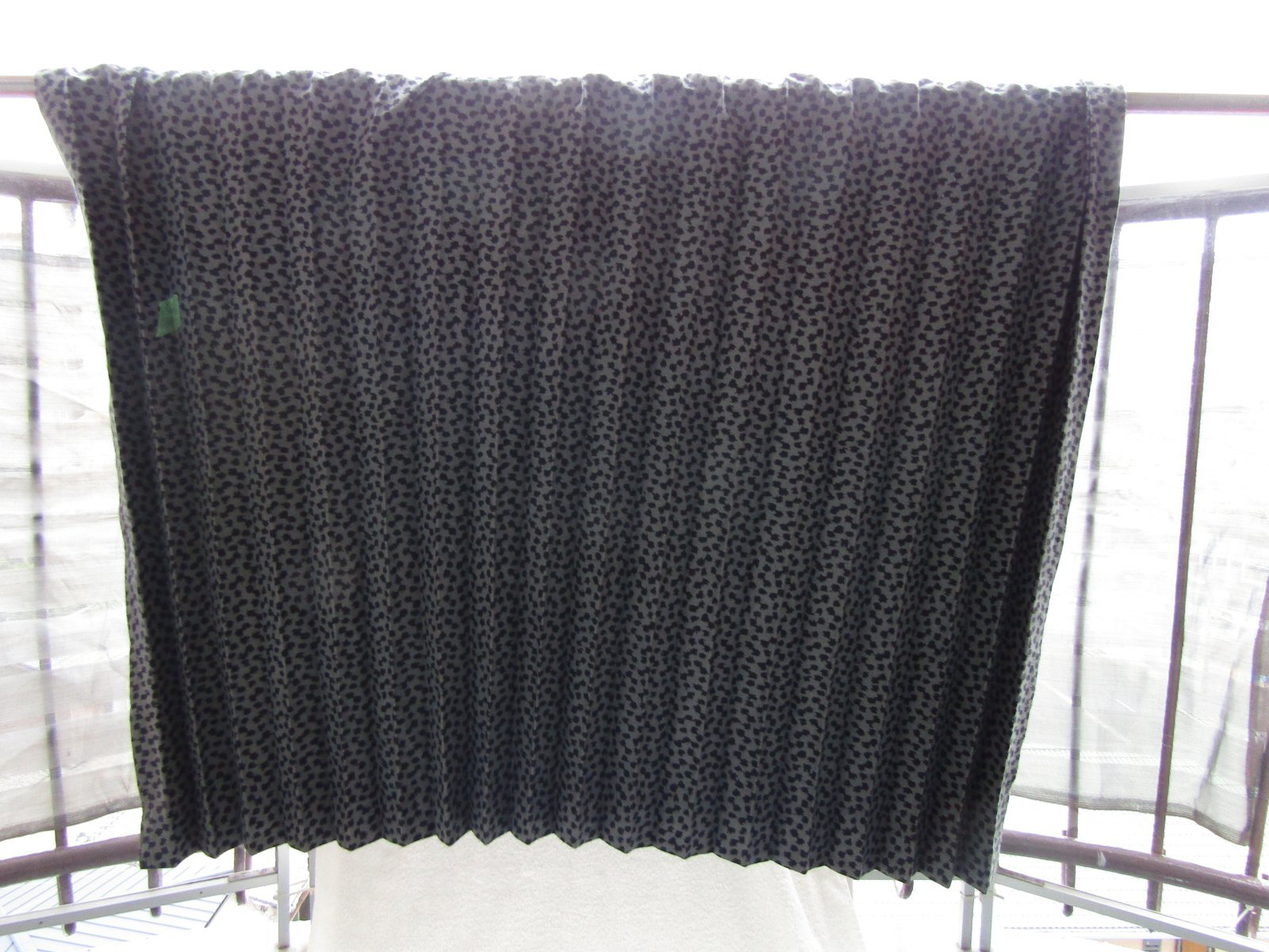 画像1: 783系　特急列車の「窓カーテン」