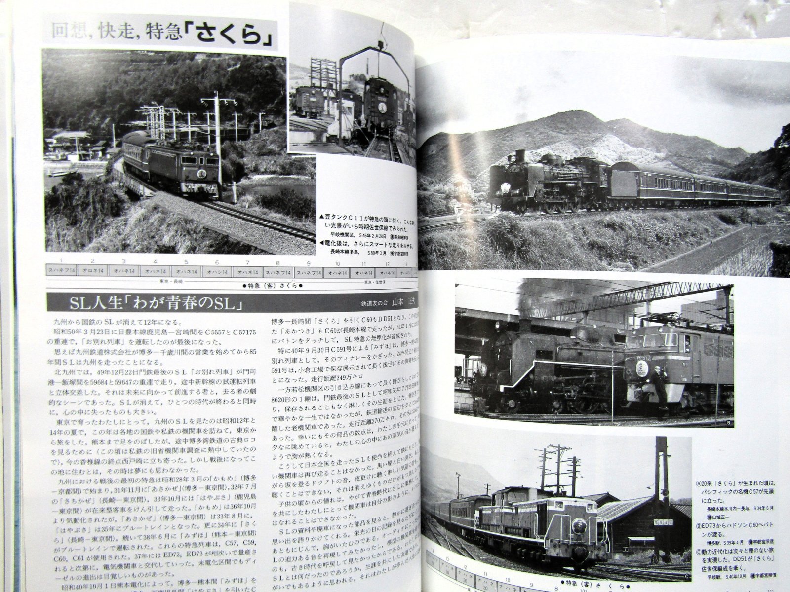 特急「さくら」