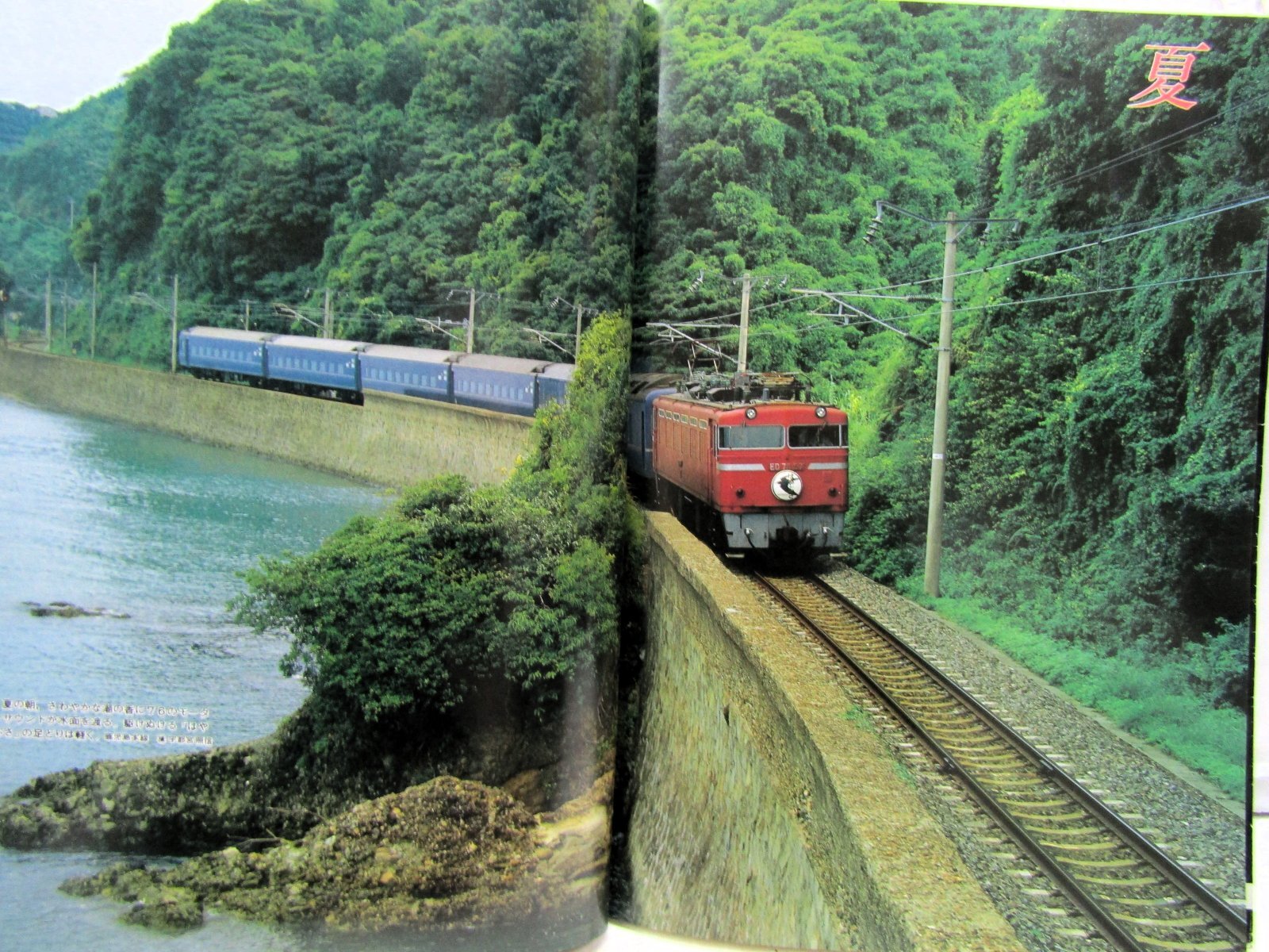 特急「はやぶさ」